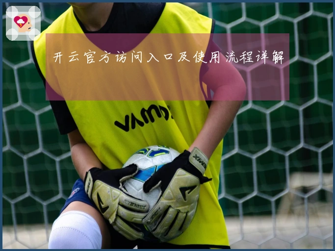 开云官方访问入口及使用流程详解