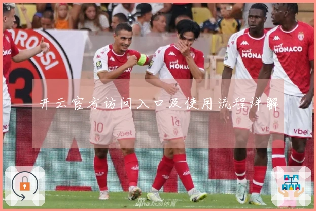 开云官方访问入口及使用流程详解